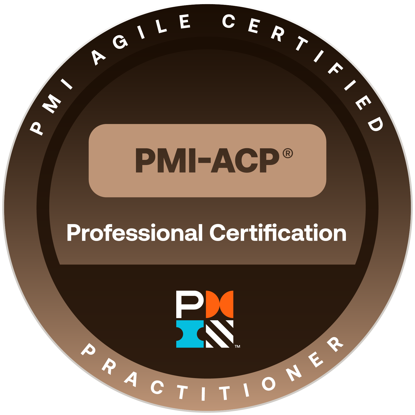 pmi-agile-certified-practitioner-pmi-acp (2025)